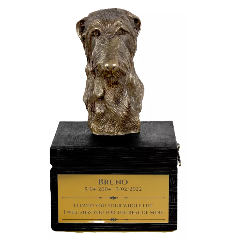 Chart szkocki urny na pudełku czarne Art-Dog