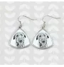 Deerhound, Scottish Deerhound - boucles d'oreilles avec chien, boucles d'oreilles pendantes avec photo, bijoux personnalisés avec impression de la marque Art-Dog