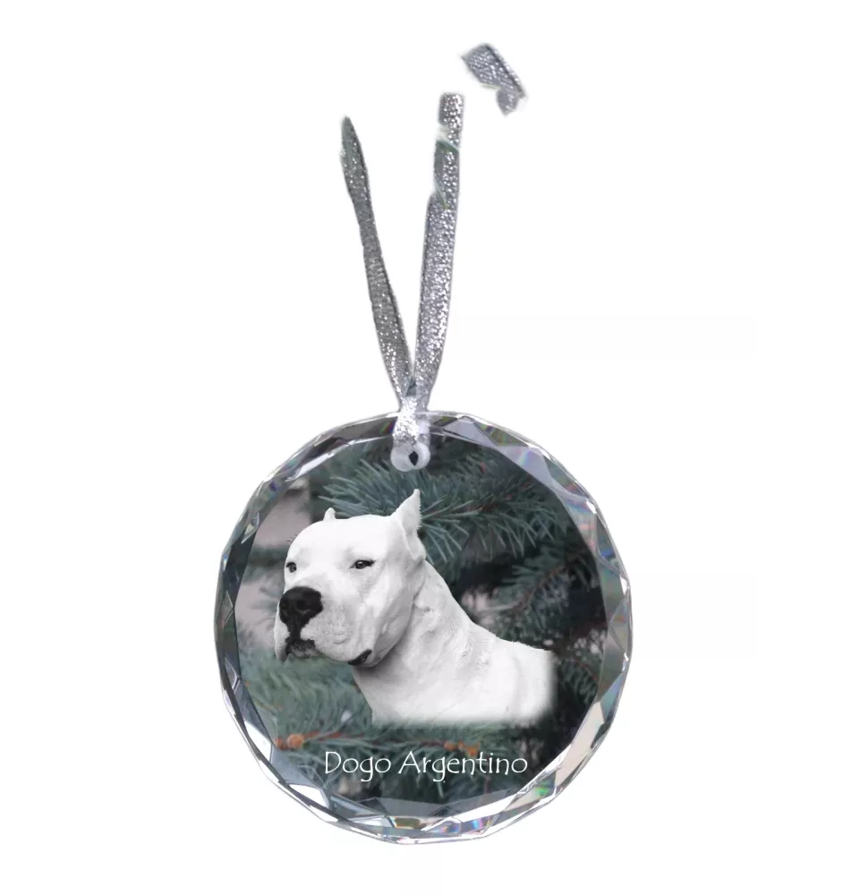 Dogue argentin, Dogo argentino - boule de Noël en cristal avec une photo, photo de chien dans le cristal, décoration personnalisée pour sapin de Noël de la marque Art-Dog