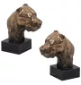Dogue argentin, Dogo argentino - Statue de chien, buste sur socle en pierre, sculpture, trophée pour exposition canine par la marque Art-Dog