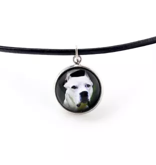 Dogue argentin, Dogo argentino - collier pendentif avec votre photo, fait main, bijoux de la marque Art-Dog