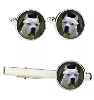 Dogo Argentino - cufflinks and tie with your photo, a suit decoration, men's jewelry from the Art-Dog brand.