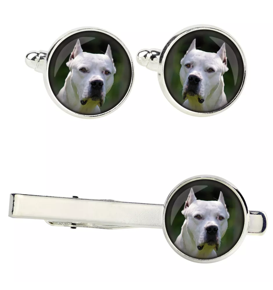 Dog argentyński zestaw spinek w pudełku ze zdjęciem Art-Dog