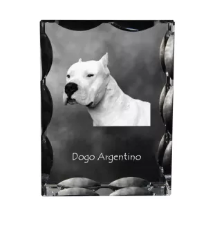 Argentinische Dogge, Dogo Argentino - Kristall mit einem Hundebild, Glasstatuette mit einem Bild, einzigartiger Bilderrahmen der Marke Art-Dog