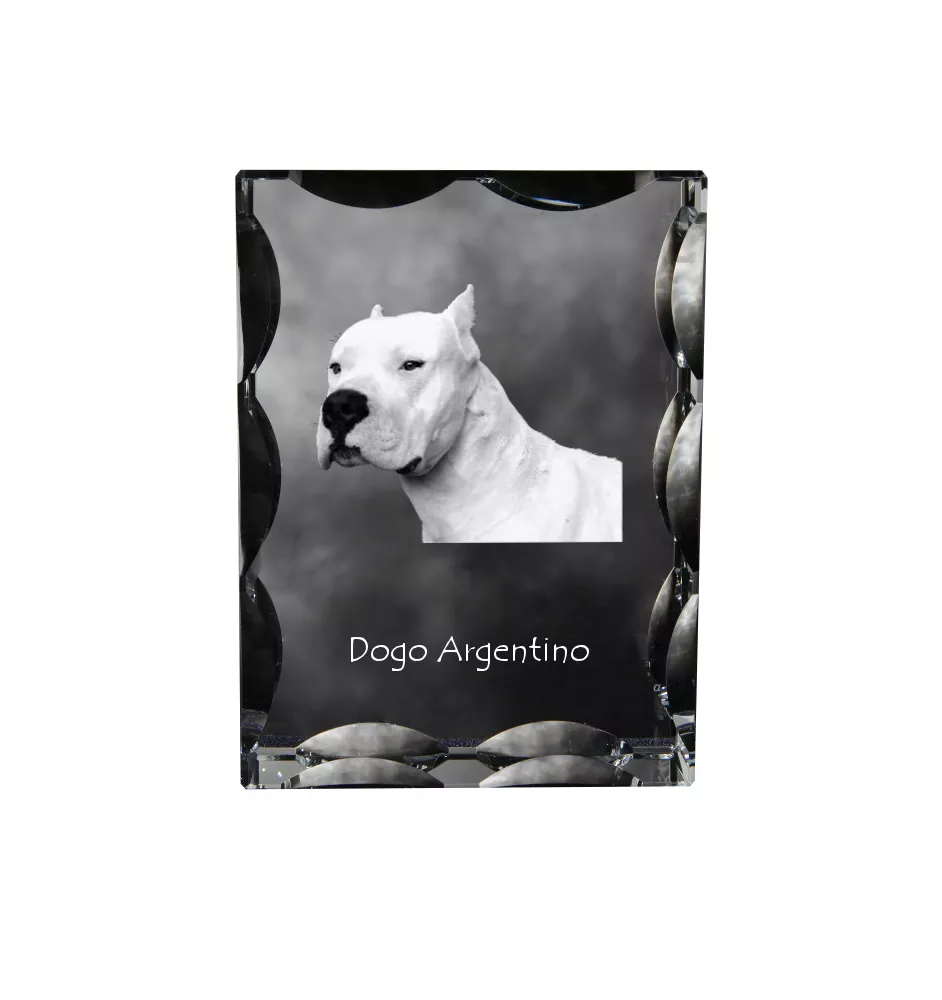 Dogo Argentino - crystal with a picture of a dog, glass statuette with a picture, unique frame with a picture from Art-Dog brand