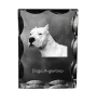 Argentinische Dogge, Dogo Argentino - Kristall mit einem Hundebild, Glasstatuette mit einem Bild, einzigartiger Bilderrahmen der Marke Art-Dog