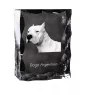 Argentinische Dogge, Dogo Argentino - Kristall mit einem Hundebild, Glasstatuette mit einem Bild, einzigartiger Bilderrahmen der Marke Art-Dog