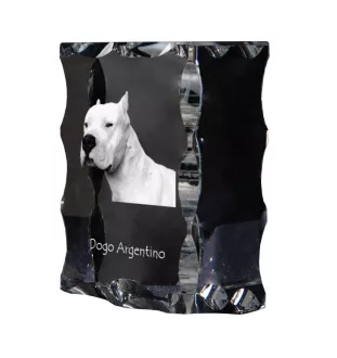 Argentinische Dogge, Dogo Argentino - Kristall mit einem Hundebild, Glasstatuette mit einem Bild, einzigartiger Bilderrahmen der Marke Art-Dog