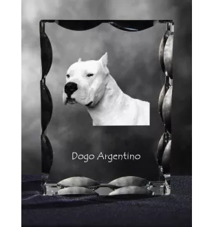 Dogo Argentino - crystal with a picture of a dog, glass statuette with a picture, unique frame with a picture from Art-Dog brand