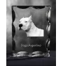 Dogo Argentino - crystal with a picture of a dog, glass statuette with a picture, unique frame with a picture from Art-Dog brand