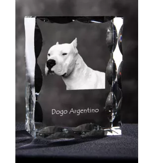 Argentinische Dogge, Dogo Argentino - Kristall mit einem Hundebild, Glasstatuette mit einem Bild, einzigartiger Bilderrahmen der Marke Art-Dog