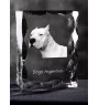 Argentinische Dogge, Dogo Argentino - Kristall mit einem Hundebild, Glasstatuette mit einem Bild, einzigartiger Bilderrahmen der Marke Art-Dog