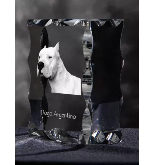 Argentinische Dogge, Dogo Argentino - Kristall mit einem Hundebild, Glasstatuette mit einem Bild, einzigartiger Bilderrahmen der Marke Art-Dog