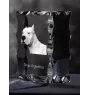 Dogo Argentino - crystal with a picture of a dog, glass statuette with a picture, unique frame with a picture from Art-Dog brand