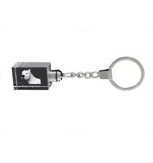 Dogue argentin, Dogo argentino - Porte-clés en cristal avec photo de chien, porte-clés lumineux, cadeau unique de la marque Art-Dog