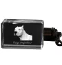 Dogo Argentino - Crystal key ring with dog photo, illuminated key ring, unique gift by Art-Dog brand