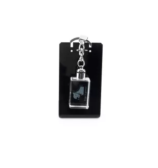 Dogo Argentino - Crystal key ring with dog photo, illuminated key ring, unique gift by Art-Dog brand