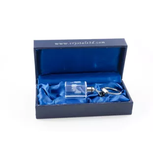 Dogo Argentino - Crystal key ring with dog photo, illuminated key ring, unique gift by Art-Dog brand