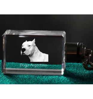 Dogue argentin, Dogo argentino - Porte-clés en cristal avec photo de chien, porte-clés lumineux, cadeau unique de la marque Art-Dog
