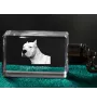 Dogo Argentino - Crystal key ring with dog photo, illuminated key ring, unique gift by Art-Dog brand