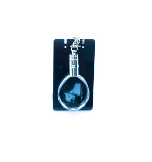 Dogo Argentino - pendant with a photo of a dog, crystal key ring in a gift box, a unique gift by Art-Dog
