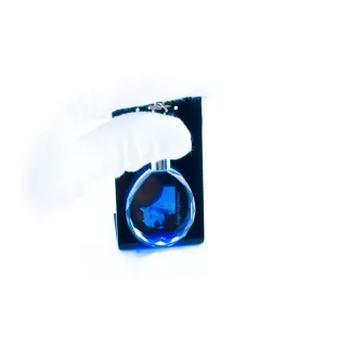 Dogue argentin, Dogo argentino - pendentif avec une photo de chien, porte-clés en cristal dans une boîte cadeau, un cadeau unique par Art-Dog