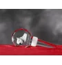 Dogo Argentino - Crystal bottle stopper, unique wine stopper with photo, personalised gift for sommelier by Art-Dog brand