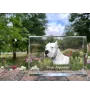 Dogo Argentino - crystal with a picture of a dog, photo in glass, modern exhibition of Art-Dog brand photo