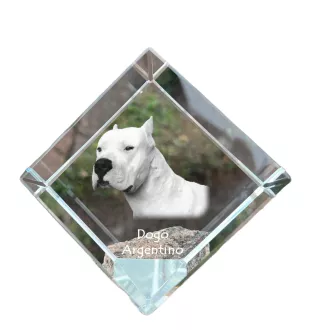 Argentinische Dogge, Dogo Argentino - Kristallwürfel mit Bild, Pferdebild im Kristall, sechseckiger Papierclip der Marke Art-Dog