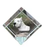 Dogue argentin, Dogo argentino - un cube de cristal avec une photo, une photo de cheval dans le cristal, un presse-papiers cubique de la marque Art-Dog