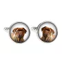 Dogue de Bordeaux, French Mastiff, Bordeauxdog - cufflinks, a shirt accessory, a shirt pendant from the Art-Dog brand