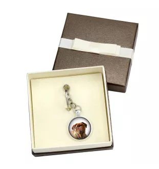 Dogue de Bordeaux, French Mastiff, Bordeauxdog - keychain in a box, own photo, keychain pendant from Art-Dog brand