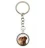 Dogue de Bordeaux, French Mastiff, Bordeauxdog - keychain in a box, own photo, keychain pendant from Art-Dog brand