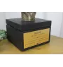 Dogo Argentino - an urn with an engraving and a sculpture of a dog, a handmade product by the Art-Dog brand.