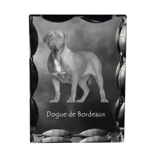 Dogue de Bordeaux, French Mastiff, Bordeauxdog - crystal with a picture of a dog, glass statuette with a picture, unique frame with a picture from Art-Dog brand