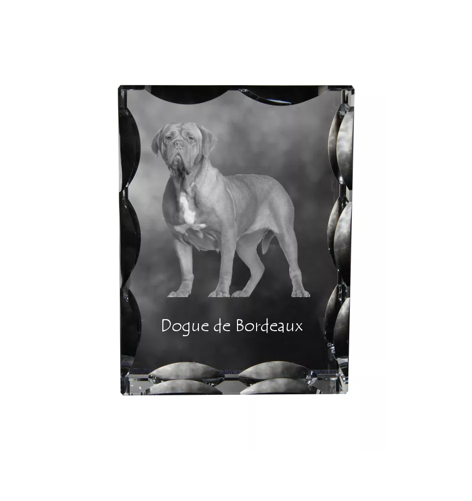 Dogue de Bordeaux, French Mastiff, Bordeauxdog - crystal with a picture of a dog, glass statuette with a picture, unique frame with a picture from Art-Dog brand