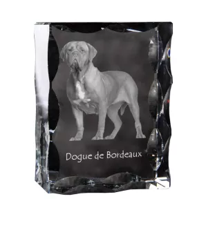Dogue de Bordeaux - cristal avec photo de chien, statuette en verre avec photo, cadre exceptionnel avec photo de la marque Art-Dog