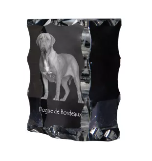 Dogue de Bordeaux, French Mastiff, Bordeauxdog - crystal with a picture of a dog, glass statuette with a picture, unique frame with a picture from Art-Dog brand