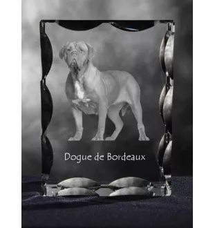 Bordeauxdogge, Dogue de Bordeaux - Kristall mit einem Hundebild, Glasstatuette mit einem Bild, einzigartiger Bilderrahmen der Marke Art-Dog