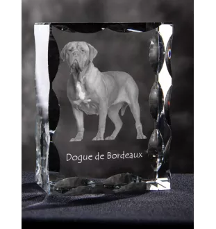 Bordeauxdogge, Dogue de Bordeaux - Kristall mit einem Hundebild, Glasstatuette mit einem Bild, einzigartiger Bilderrahmen der Marke Art-Dog