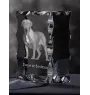 Dogue de Bordeaux, French Mastiff, Bordeauxdog - crystal with a picture of a dog, glass statuette with a picture, unique frame with a picture from Art-Dog brand
