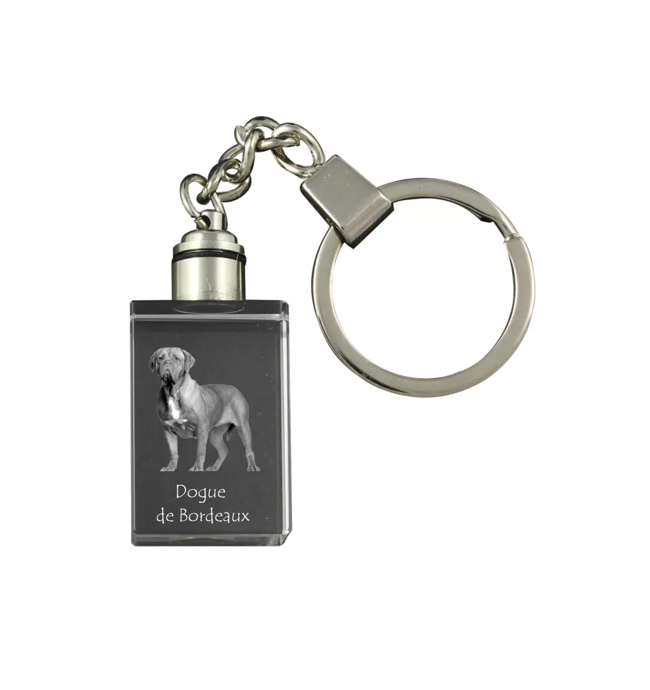 Dogue de Bordeaux, French Mastiff, Bordeauxdog - Crystal key ring with dog photo, illuminated key ring, unique gift by Art-Dog brand