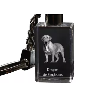 Bordeauxdogge, Dogue de Bordeaux - Schlüsselanhänger aus Kristall mit Hundefoto, beleuchteter Schlüsselanhänger, einzigartiges Geschenk der Marke Art-Dog