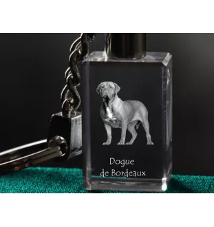 Dogue de Bordeaux, French Mastiff, Bordeauxdog - Crystal key ring with dog photo, illuminated key ring, unique gift by Art-Dog brand