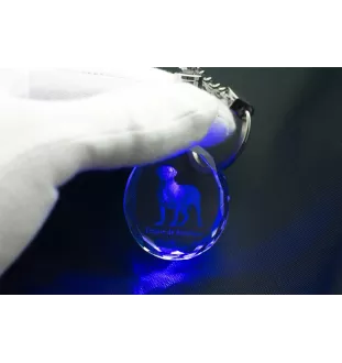 Bordeauxdogge, Dogue de Bordeaux - Anhänger mit einem Foto eines Hundes, Schlüsselanhänger aus Kristall in einer Geschenkbox, ein einzigartiges Geschenk von Art-Dog