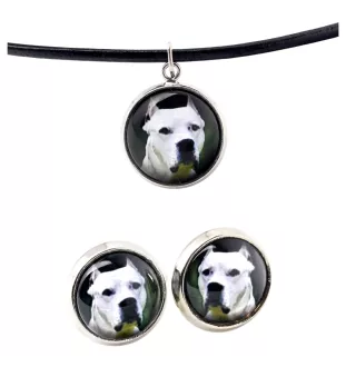 Dogo Argentino - jewelry with your photo box, set of necklace and earrings, personalized products from the Art-Dog brand