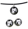Dogo Argentino - jewelry with your photo box, set of necklace and earrings, personalized products from the Art-Dog brand