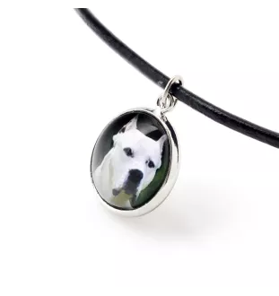 Dogo Argentino - jewelry with your photo box, set of necklace and earrings, personalized products from the Art-Dog brand