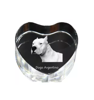 Dogue argentin, Dogo argentino - une photo de chien dans un cristal, un cœur en cristal, un cadre photo exceptionnel de la marque Art-Dog
