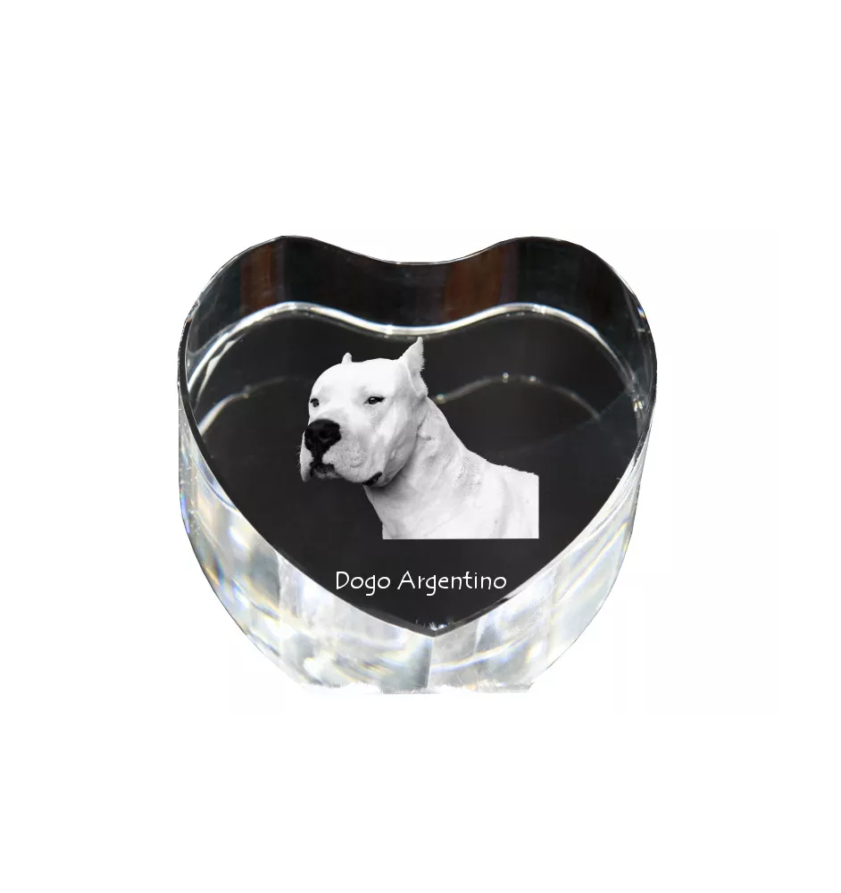 Dogue argentin, Dogo argentino - une photo de chien dans un cristal, un cœur en cristal, un cadre photo exceptionnel de la marque Art-Dog